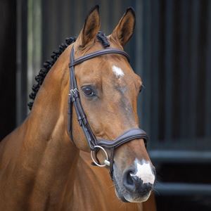 **barcodes/brand*Shires Velociti LUSSO Ergonomic Flash Bridle (Havana)