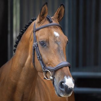 Shires Velociti LUSSO Ergonomic Flash Bridle (Havana)