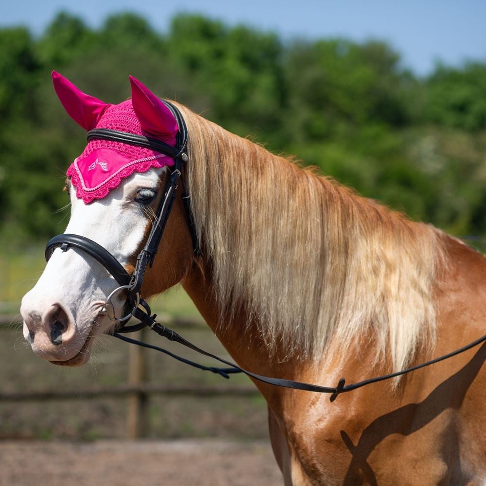 Gallop Classic Fly Veil (Pink)