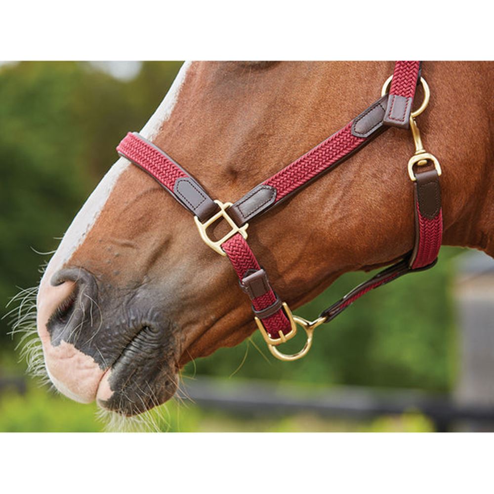 Kincade Braided Leather Headcollar