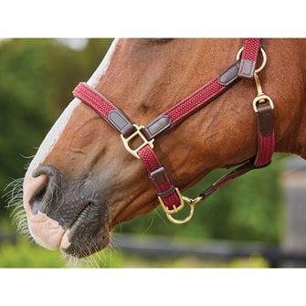 Kincade Braided Leather Headcollar (Maroon)