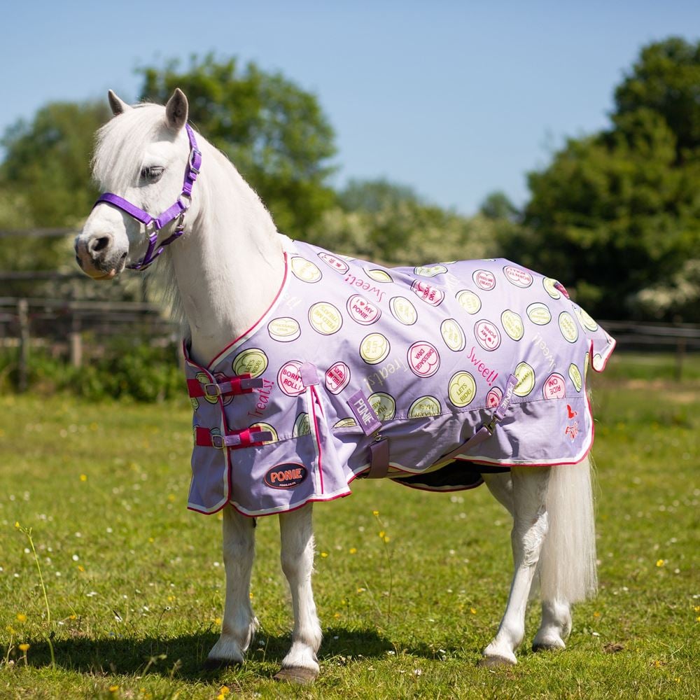 Ponie Sweet Treats Lightweight Standard Neck Turnout Rug