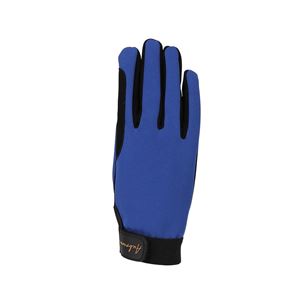 Shires Aubrion Team Winter Riding Gloves (Blue)