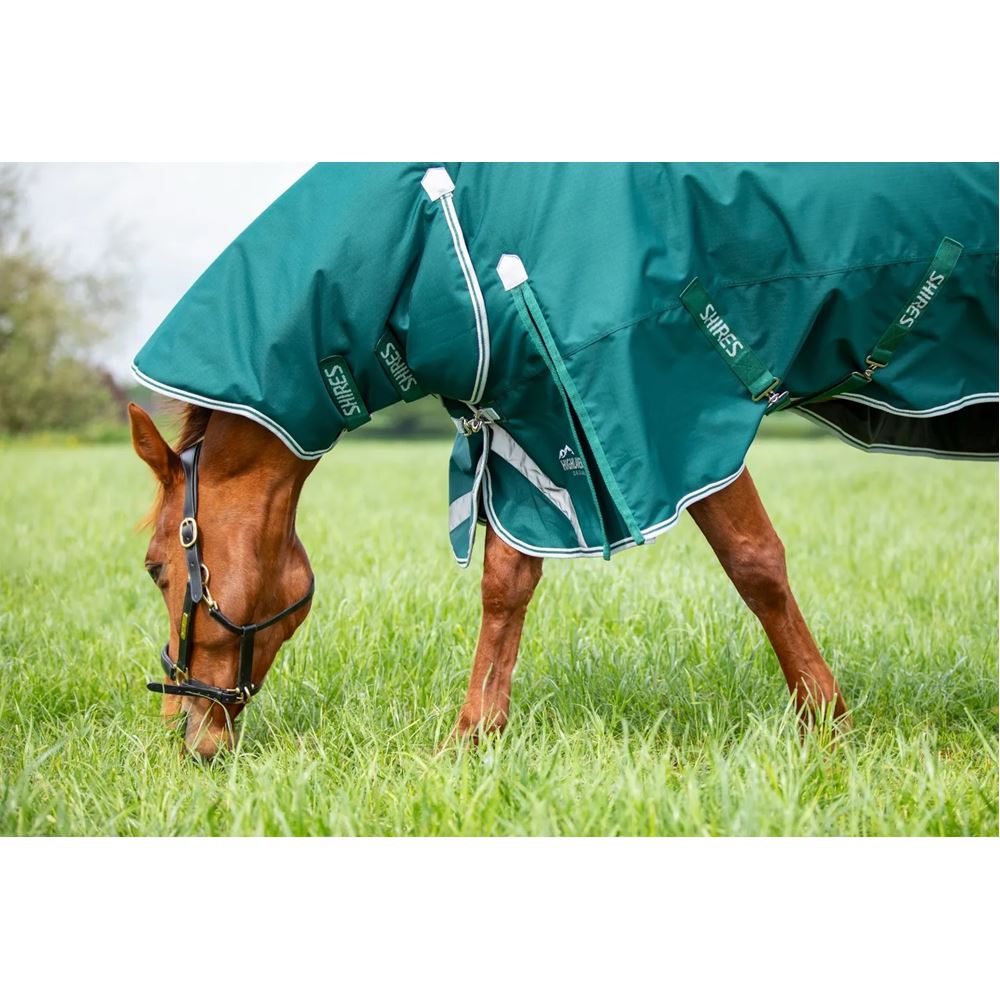 Shires Highlander Original 300 Combo Turnout Rug (Green)