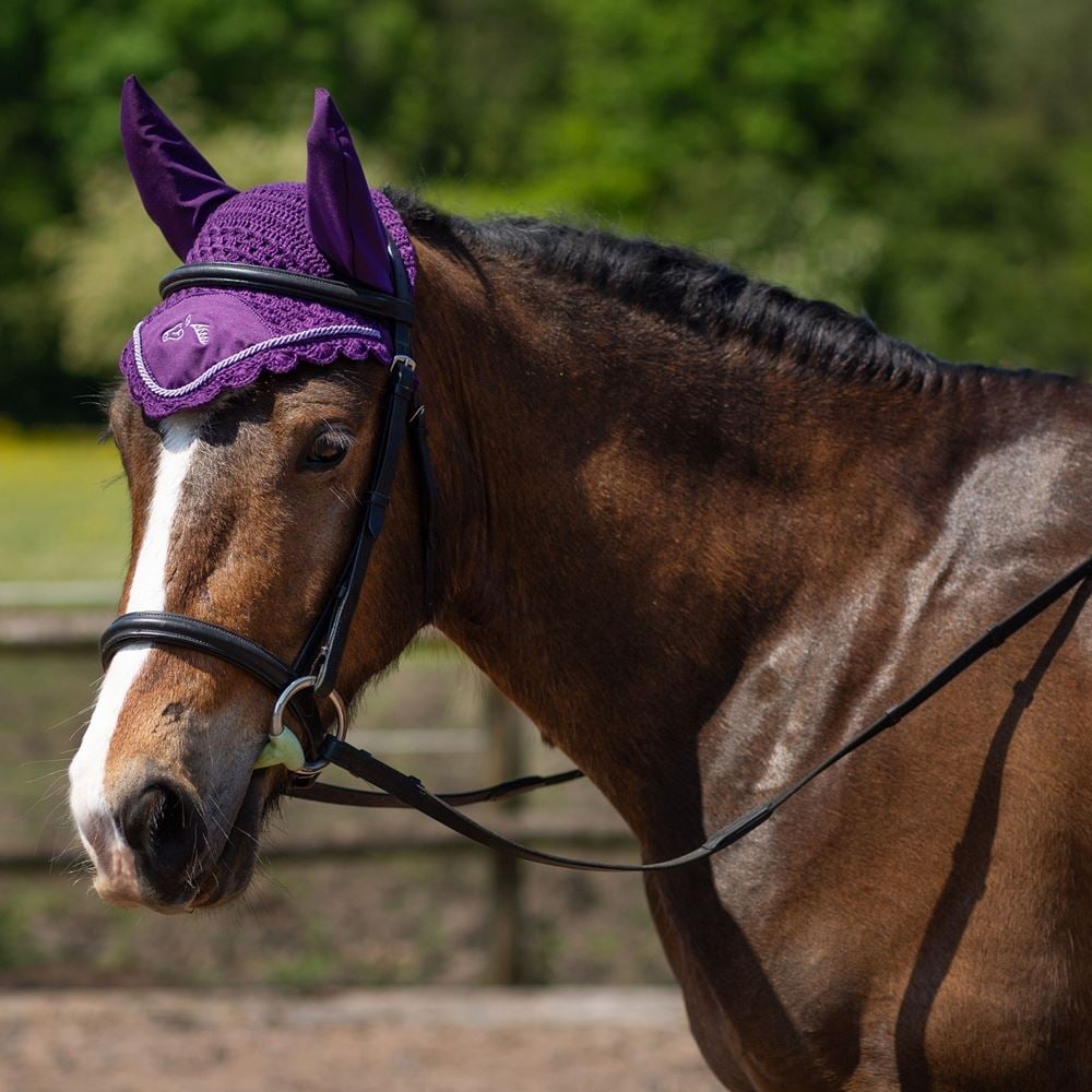 Gallop Classic Fly Veil (Purple)