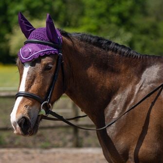 Gallop Classic Fly Veil (Purple)