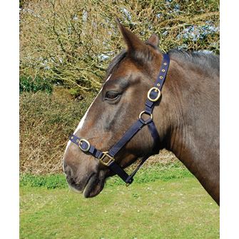 Rhinegold Nylon Headcollar (Navy)