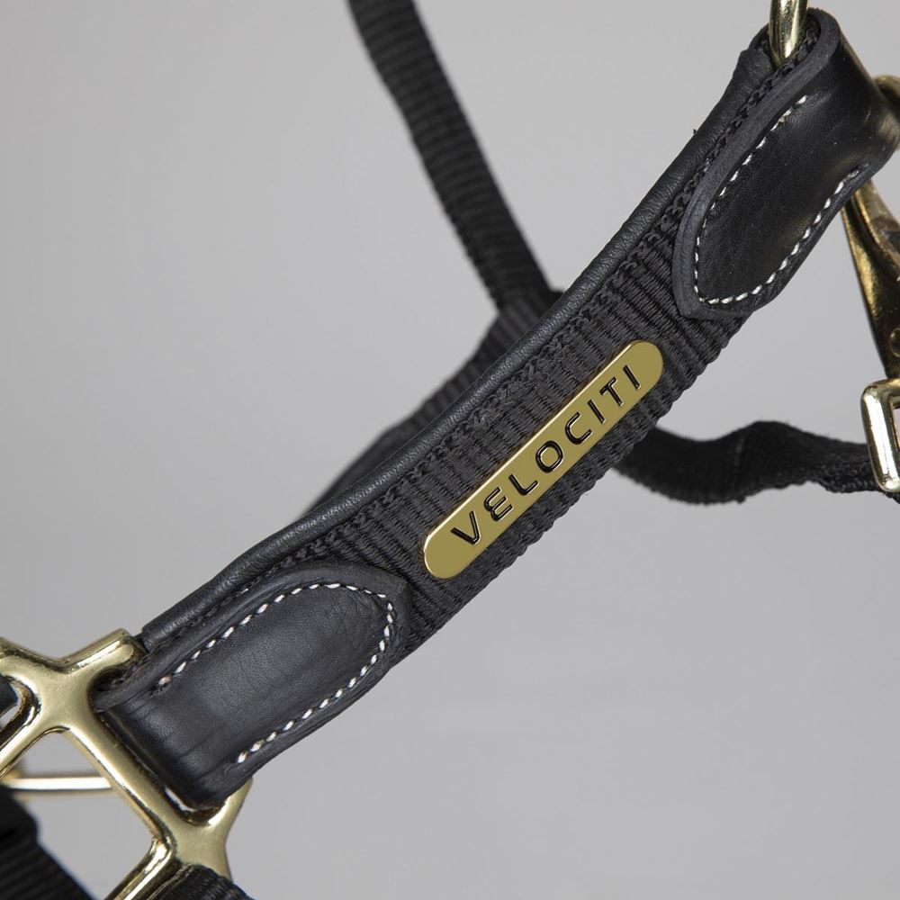 Shires Velociti Lusso Padded Leather Headcollar (Black)