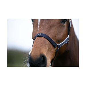 Hy Equestrian Synergy Head Collar (Navy/Silver)