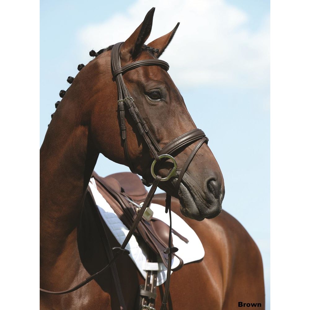 Collegiate Syntovia+ Padded Raised Flash Bridle