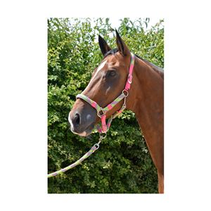 Hy Equestrian Multicolour Adjustable Head Collar with Rope (Pink)