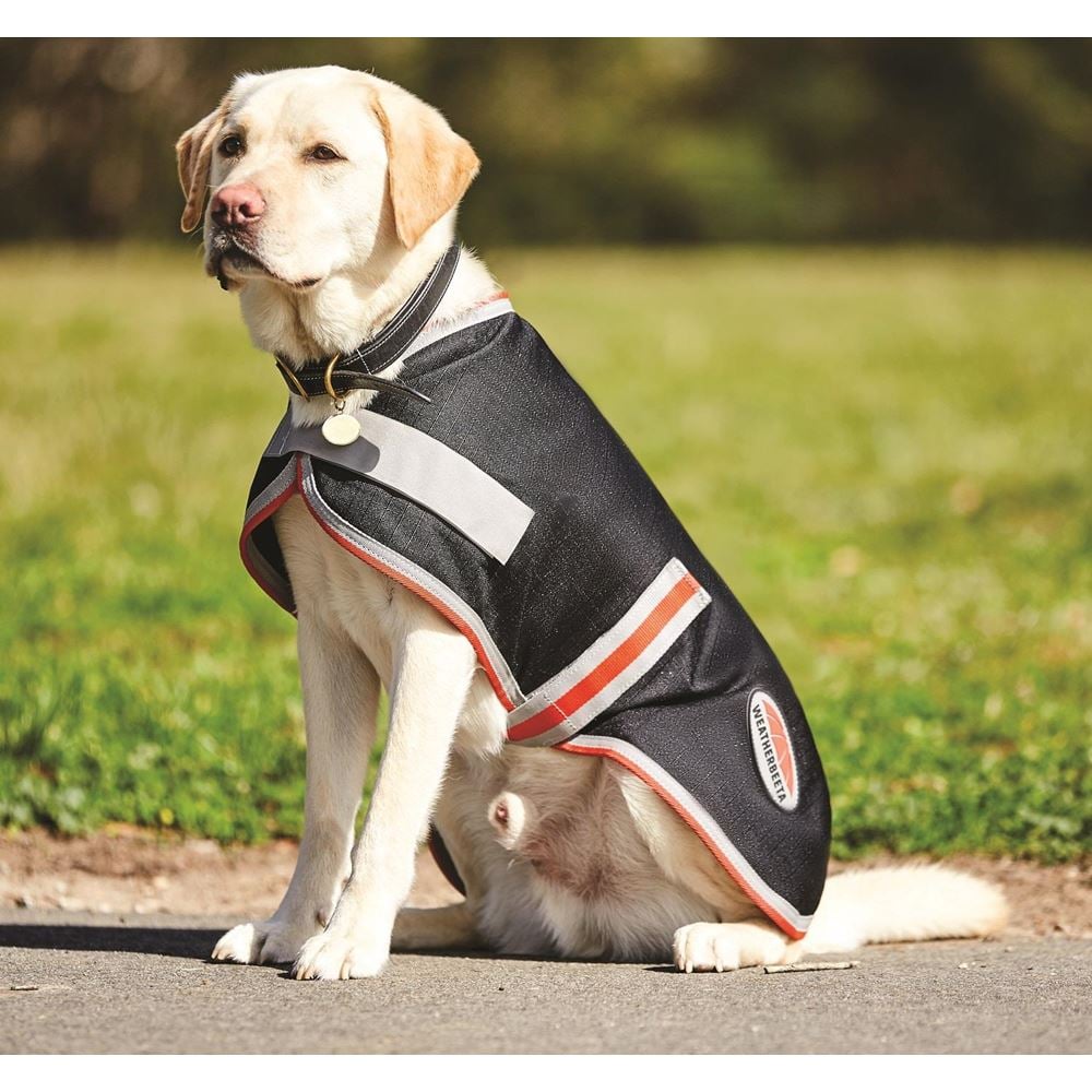 Weatherbeeta 1200D Therapy-Tec Dog Coat