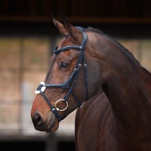 Shires Velociti Lusso Elite Grackle Bridle (Black)