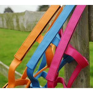 Rhinegold Field Safe Foal Headcollar (Raspberry)