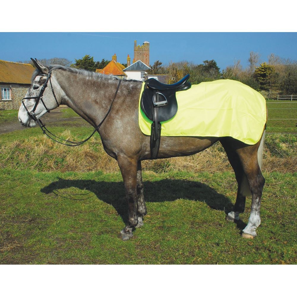 Rhinegold 3/4 Waterproof Ride-On Rug