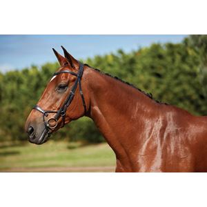 Collegiate Comfitec Training Bridle