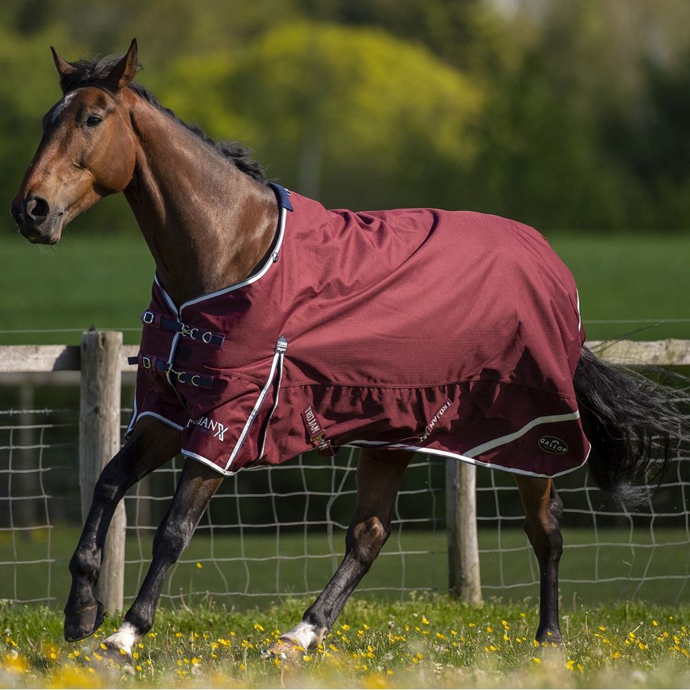 Gallop Trojan Xtra 50 Turnout Combo (Burgundy/White & Navy)