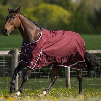 Gallop Trojan Xtra 50 Turnout (Burgundy/White & Navy)