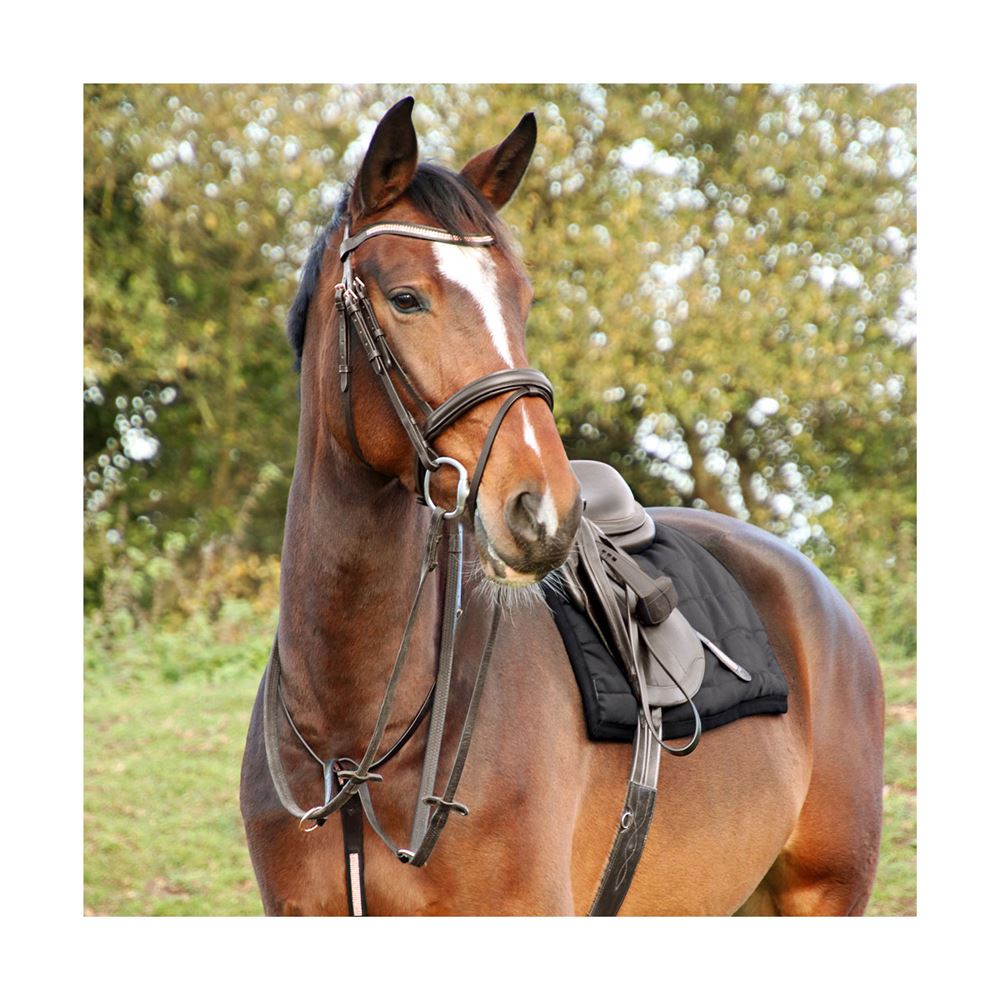 Hy Equestrian Rosciano Rose Gold Bridle (Brown)