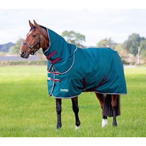 Shires Tempest Original 200 Turnout Rug & Neck Set (Green) *barcodes*