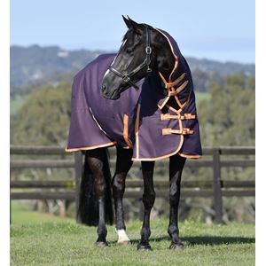 Weatherbeeta ComFiTec Essential Combo Heavy Turnout Rug (Plum/Orange/Grey)