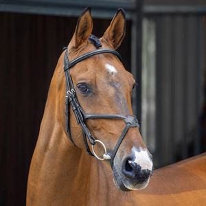 Shires Velociti LUSSO Grackle Bridle (Havana)