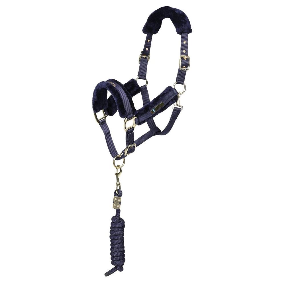 Shires ARMA Logo Headcollar & Lead Rope (Navy)