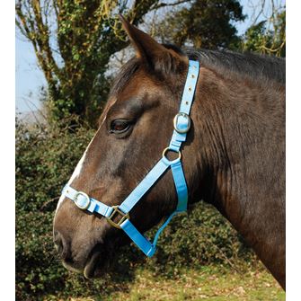 Rhinegold Nylon Headcollar (Baby Blue)