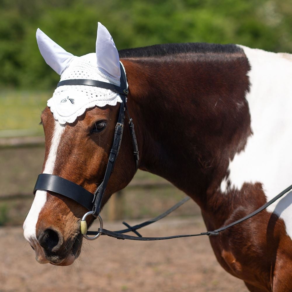 Gallop Classic Fly Veil (White)