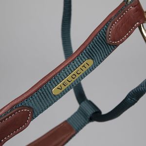 Shires Velociti Lusso Padded Leather Headcollar (Green)