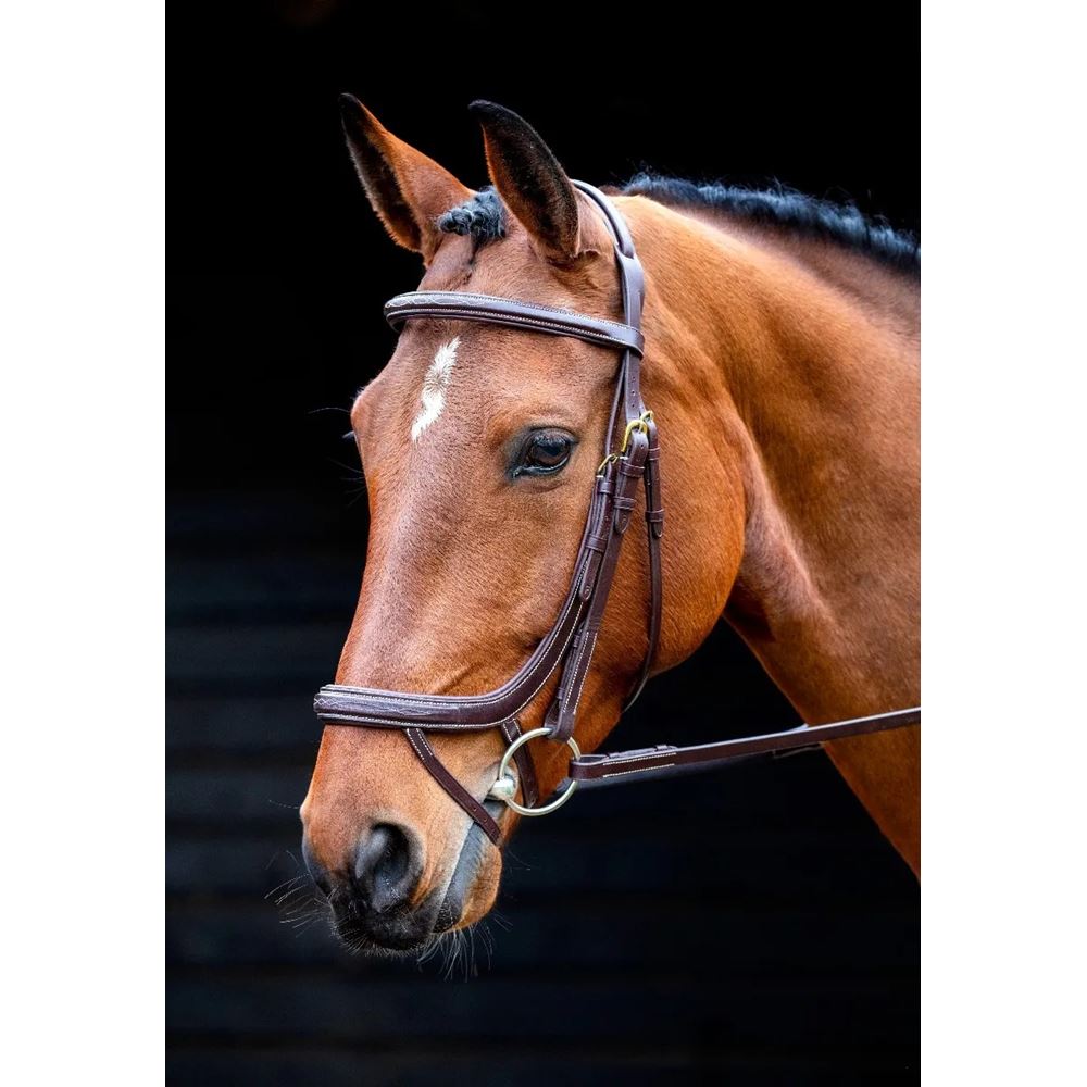 Shires Salisbury Buckingham Bridle (Australian Nut)