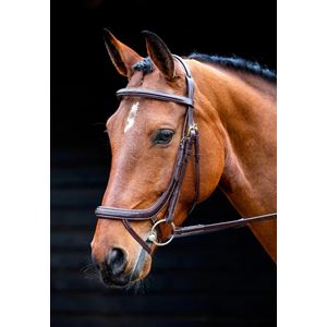 Shires Salisbury Buckingham Bridle (Australian Nut)