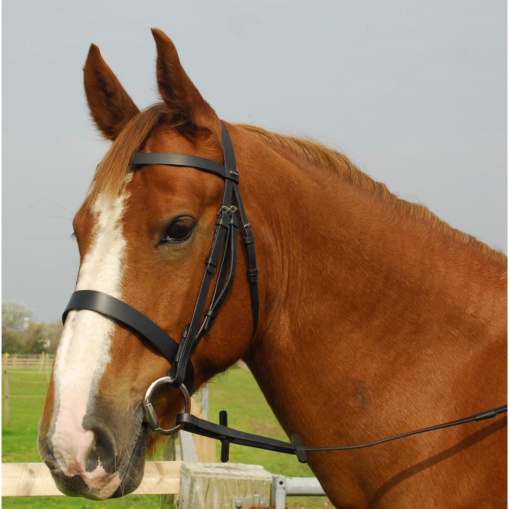 Heritage Saddlery English Leather Hunter Bridle with Wide Cavesson Noseband