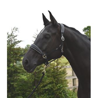 Rhinegold Rocco Italia Turin Leather Headcollar