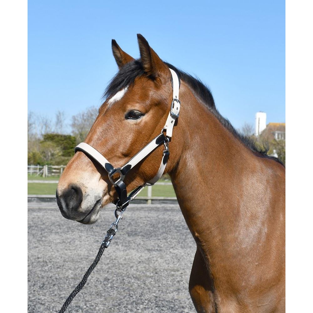 Heritage Padded Leather Lined Headcollar (Black/Cream)