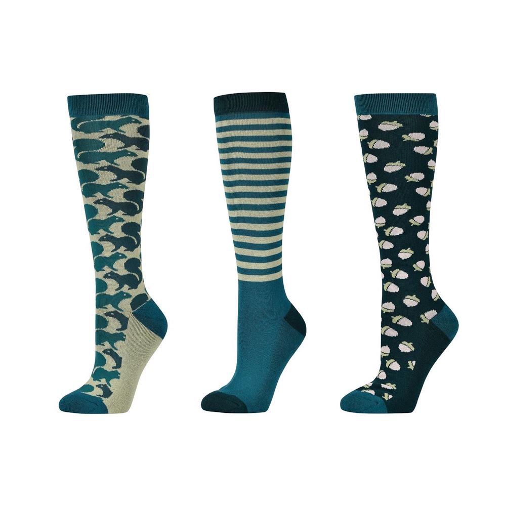 Dublin Pack of 3 Adults Riding Socks (Green Autumn)