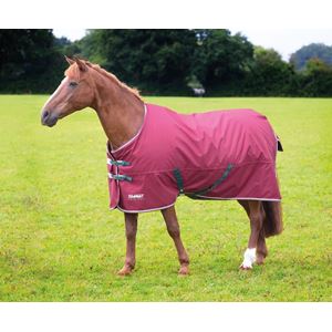 Shires Tempest Original 200 Turnout Rug (Maroon)