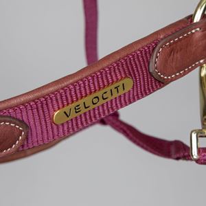 Shires Velociti Lusso Padded Leather Headcollar (Burgundy)