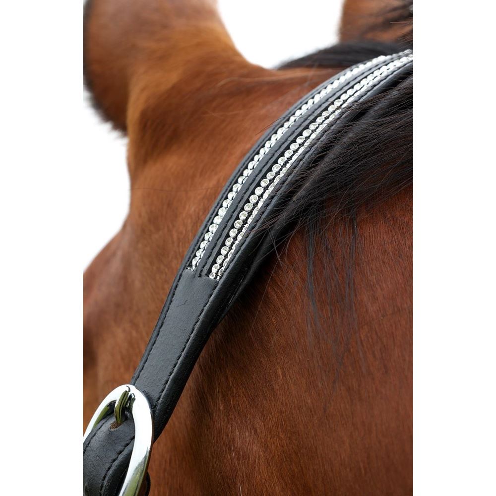 **pics**Hy Equestrian Anodize Leather Head Collar (Black/Silver)