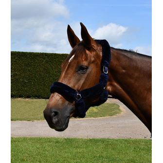 Rhinegold Fur Trim Headcollar (Navy)