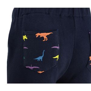 Hy Equestrian Dinosaur Tots Jodhpurs