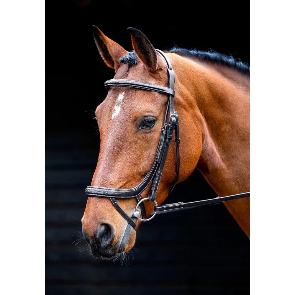 Shires Salisbury Buckingham Bridle (Black)