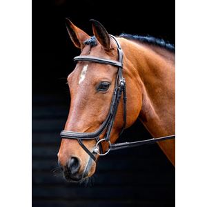 Shires Salisbury Buckingham Bridle (Black)