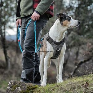 Kurgo Journey Air Harness