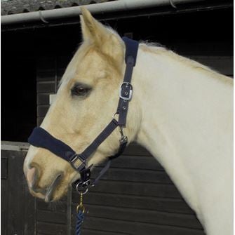 Rhinegold Comfort Headcollar and Rope Set (Navy)