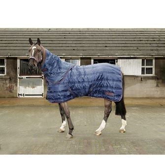 Whitaker Stable Rug Rastrick Combo 250 Gm