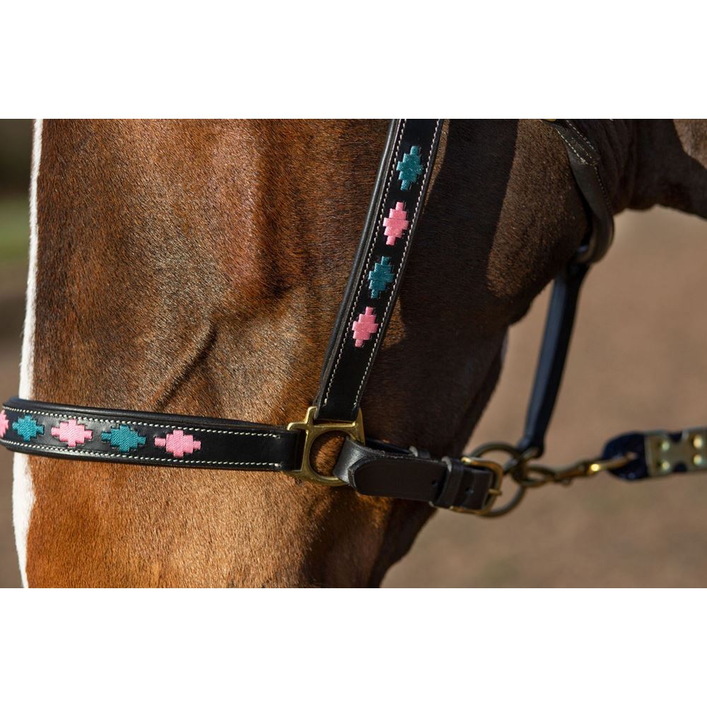 Gallop Premium Padded Leather Headcollar (Pink/Aqua)