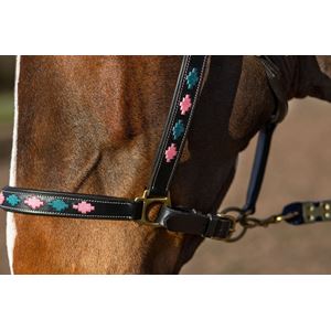 Gallop Premium Padded Leather Headcollar (Pink/Aqua)