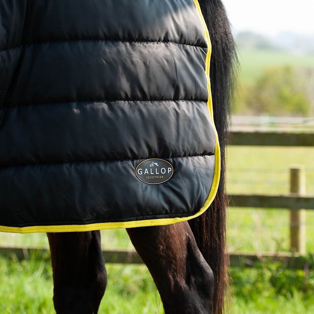 Gallop Trojan Maverick 200 Stable Combo (Black/Yellow)