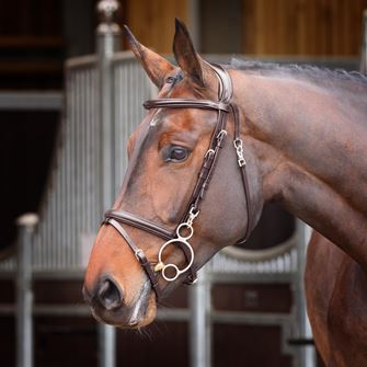 Shires Velociti Rapida Training Bridle (Havana)